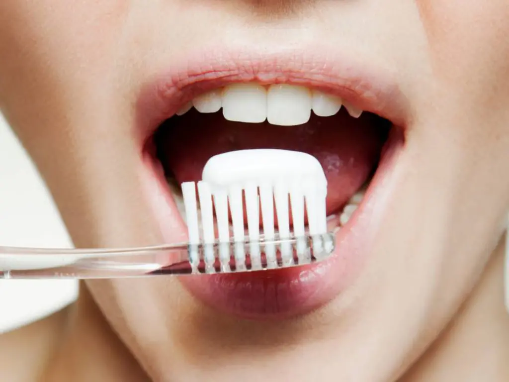 Cepillos De Dientes De Cerdas Medianas Cepillos De Dientes De Cerdas Medianas